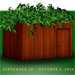Sukkot